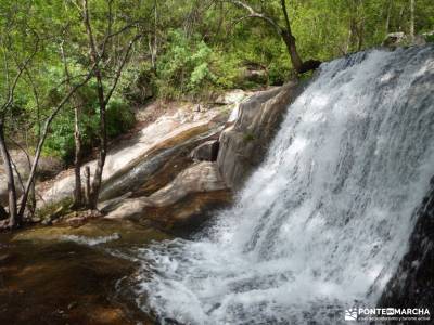 Cerezos flor_Valle del Jerte;rutas para andar por madrid puebla de sanabria lago club guadarrama